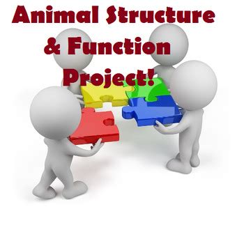 Image result for Structure and Function Biology Examples