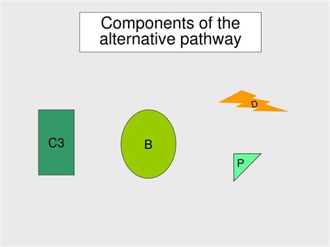 Image result for Stable C3 Convertase