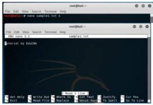Image result for Kali Linux Terminal Commands