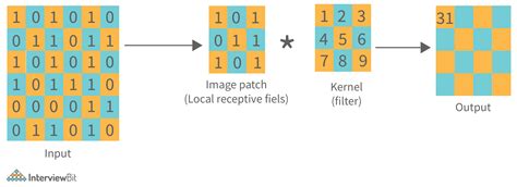 Image result for Computer Vision CNN Architecture