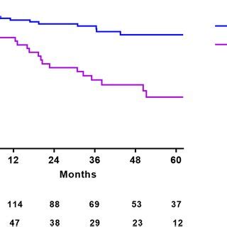 Toradh íomhá ar Model Chi-Square