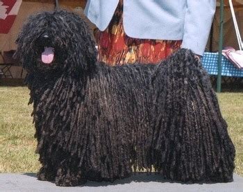 Image result for Commodore 64 Joystick