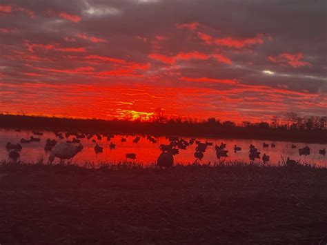 Image result for Pirogue Hunting Boats