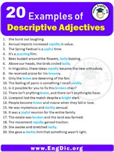 Image result for Descriptive Sentence Survey Example