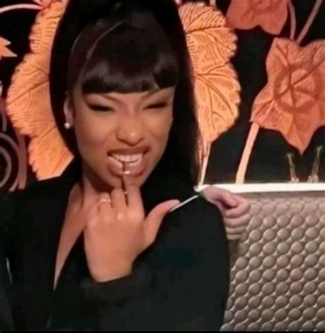 Toradh íomhá ar Megan Computer Meme Both