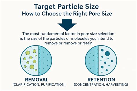 Pore Over Filter に対する画像結果
