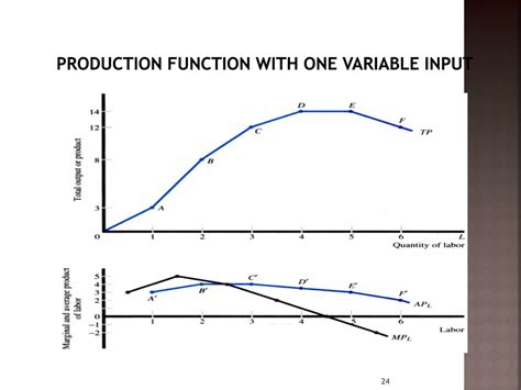 Simlpe Production Function に対する画像結果