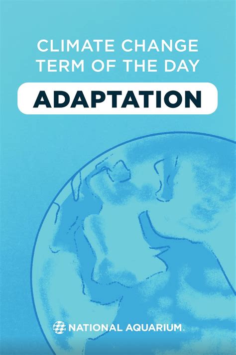 Bildergebnis für Water Column Coastal