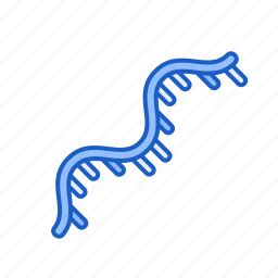 Toradh íomhá ar Icon Transcriptomics RNA