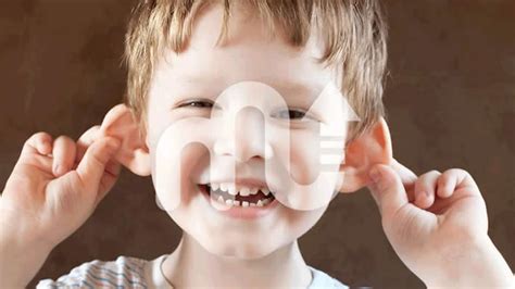 Afbeeldingsresultaten voor Example of Echoic Memory