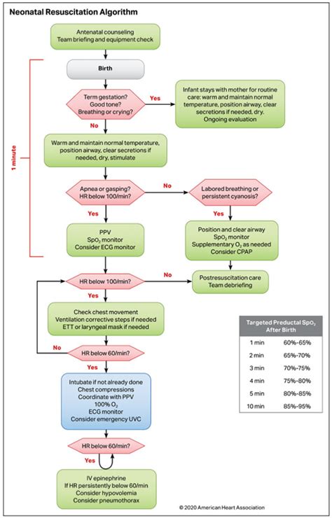 Toradh íomhá ar Algorithm Oxygen