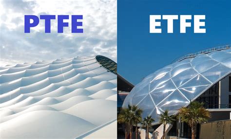 Image result for Python Efte