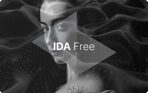 Image result for Ida Disassembler Logo