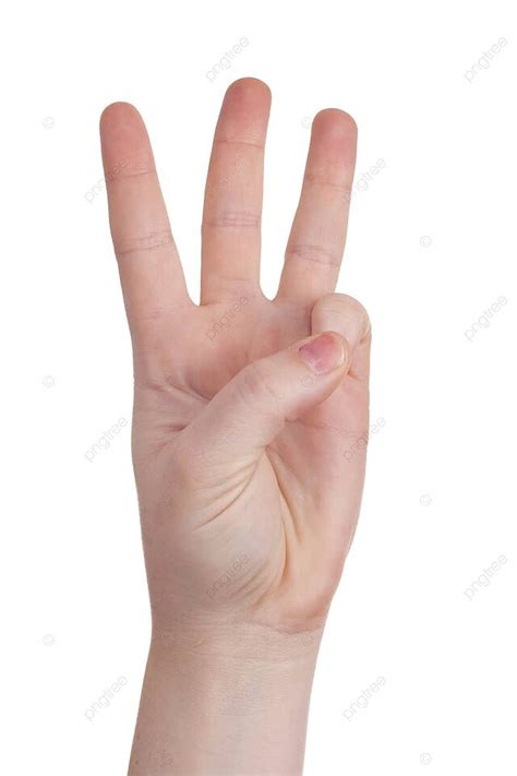 Sign with Number 23 Hand Holding に対する画像結果