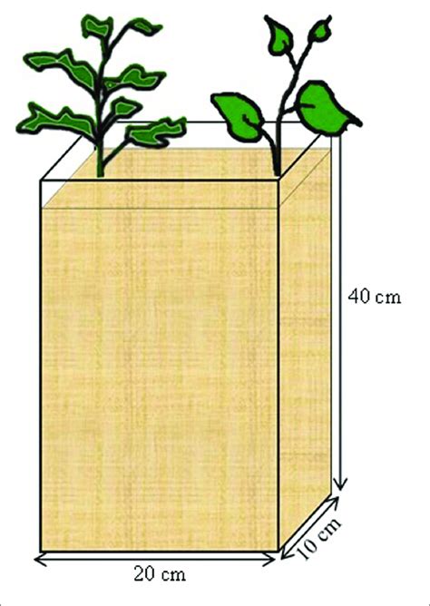 Image result for RootBox Starter Kit