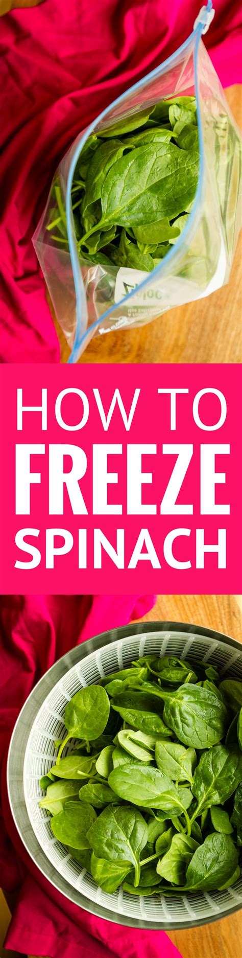 Image result for How to Freeze Spinach Leaves