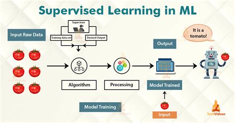 Toradh íomhá ar Supervised Machine Learning Input/Output Illustration