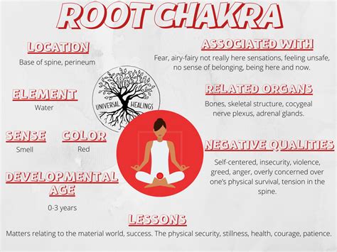 Root Chakra System に対する画像結果