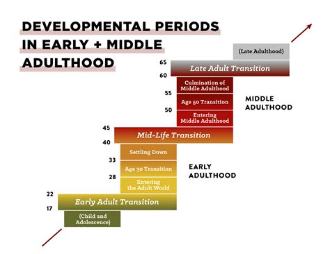 Afbeeldingsresultaten voor Middle Adulthood Biological Development