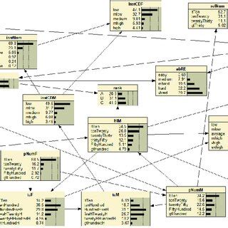 Quantified Boolean Bayesian Network に対する画像結果