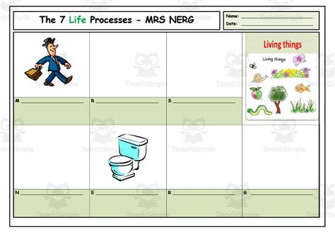 Image result for Movement Life Process Worksheet