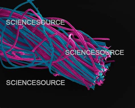 Thread Science に対する画像結果