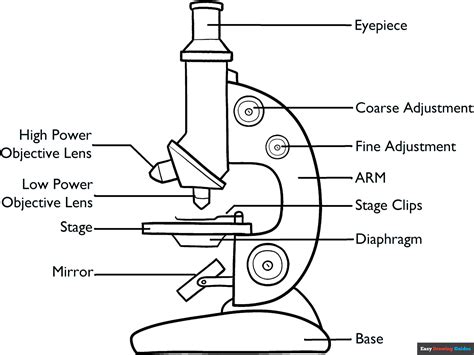 Image result for How to Make a Simple Microscope
