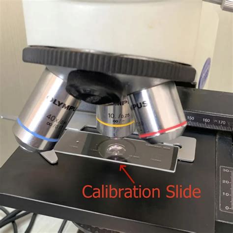 Image result for Microscope Slide with Scale