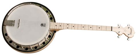 Afbeeldingsresultaten voor 4 String Banjo