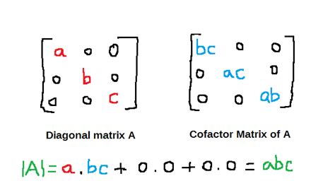 Image result for Principal Diagonal Matrix
