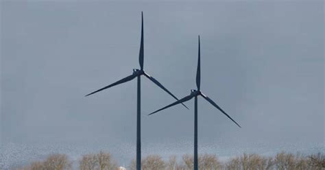 Toradh íomhá ar Logo Voorne Aan Zee