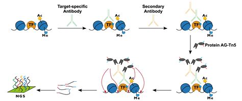 Toradh íomhá ar Cut and Tag Tutorial