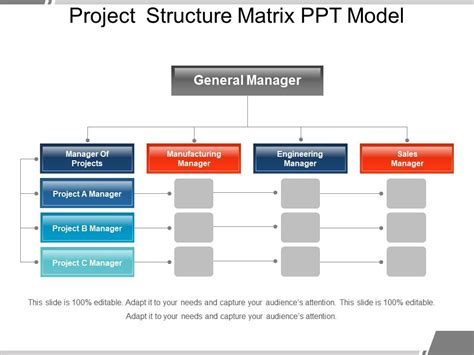 Image result for Types of Project Management Structure Matrix