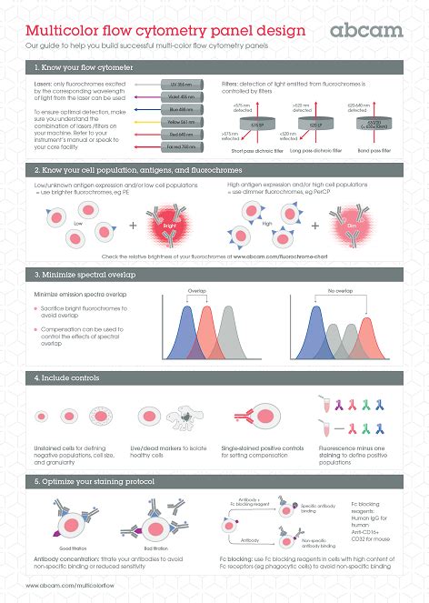 Image result for Flow Cytometry Panel