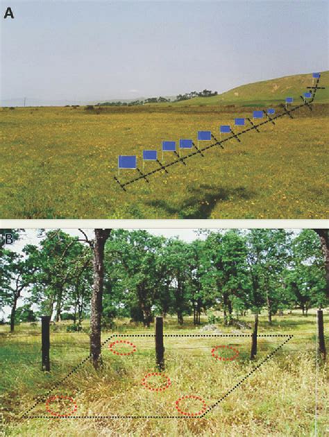 Simple Random Sampling of Soil に対する画像結果