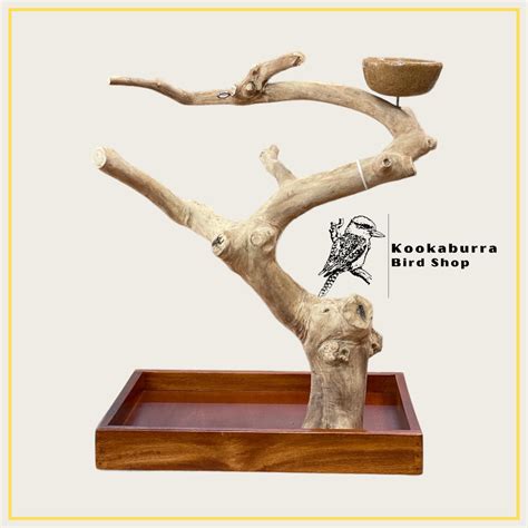 Toradh íomhá ar Java Tree PNG