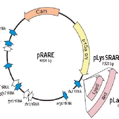 Afbeeldingsresultaten voor Prare Vector Map