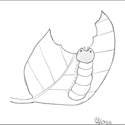 Toradh íomhá ar ZPD Example