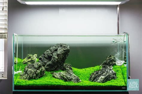 Image result for Aquascape Tutorial