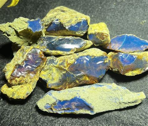 Image result for Blue Amber Back Number