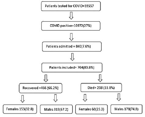 Population Distribution Calculation に対する画像結果