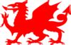 Welsh Dragon Clip Art に対する画像結果