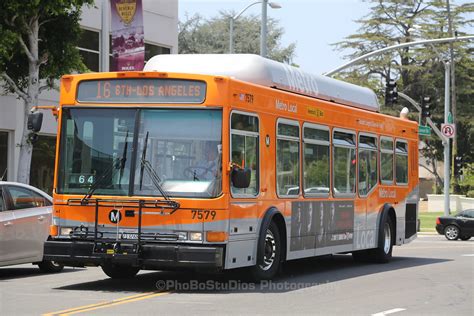 Image result for Metro Local Bus