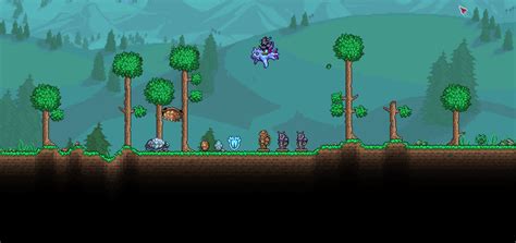 Snowboarding Turtle Shell に対する画像結果