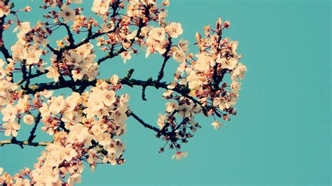 Image result for Computer Pinterest