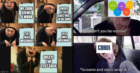 Born to Code Meme에 대한 이미지 결과