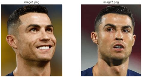 Image result for Face Segmentation Python