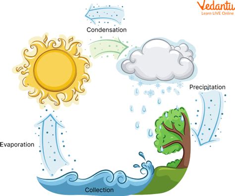 Image result for Basic Parts of Water Cycle