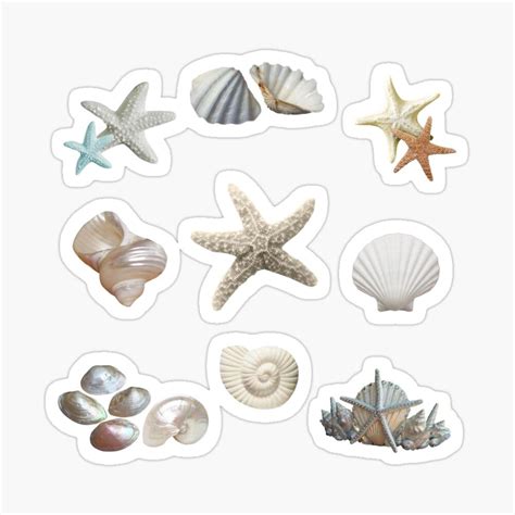Shell Sticker に対する画像結果
