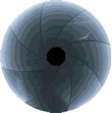 Toradh íomhá ar How to Make an Entrance in Discord